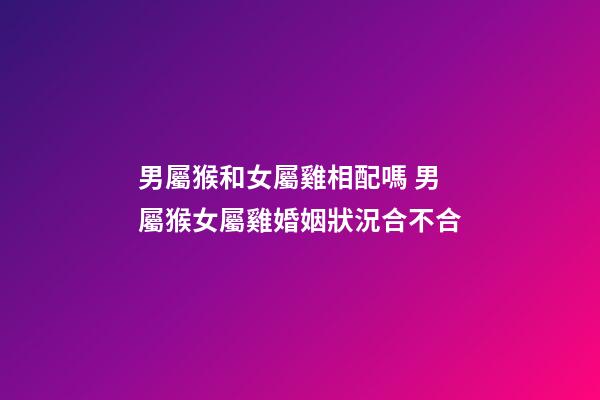 男屬猴和女屬雞相配嗎 男屬猴女屬雞婚姻狀況合不合